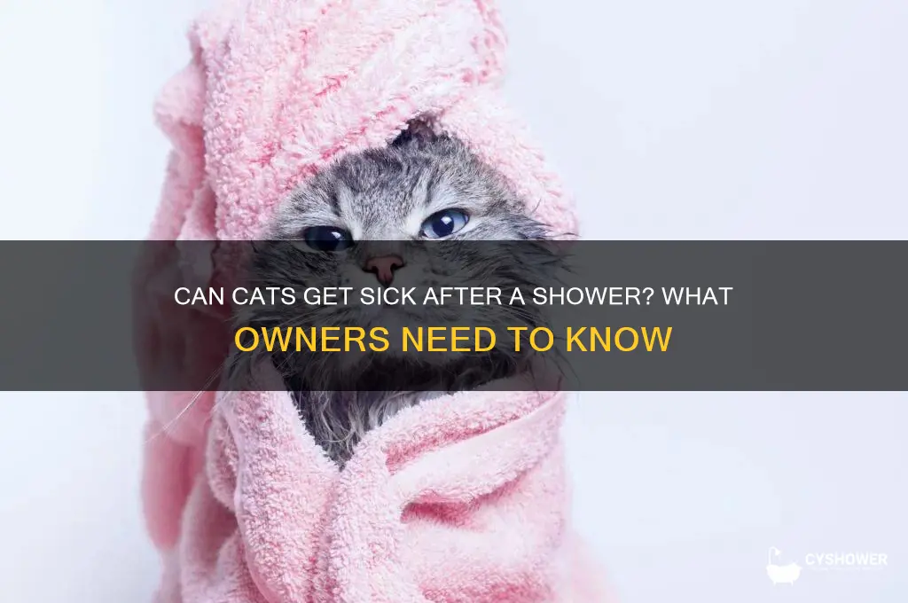 will my cat get sick after a shower