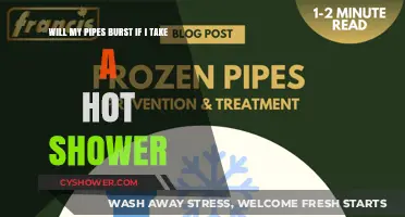 Hot Showers and Frozen Pipes: Preventing Winter Plumbing Disasters