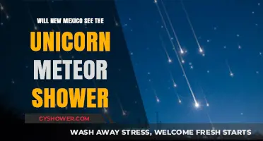 Unicorn Meteor Shower: Will New Mexico Catch a Glimpse?