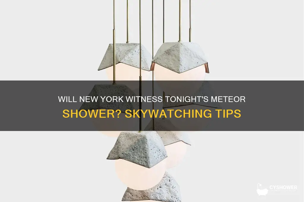 will ny see meteor shower tonight