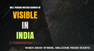 Perseid Meteor Shower 2023: Visibility and Best Viewing Tips for India