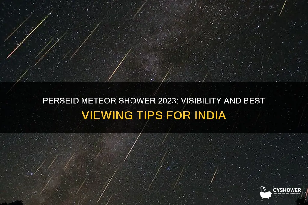 will perseid meteor shower be visible in india