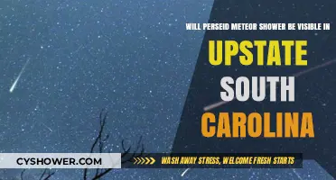 Perseid Meteor Shower Visibility in Upstate South Carolina: What to Expect