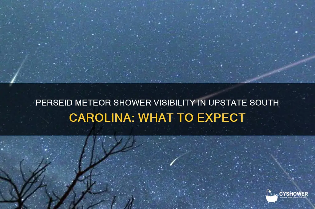 will perseid meteor shower be visible in upstate south carolina
