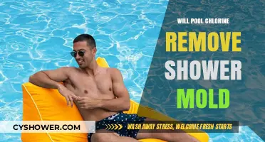 Can Pool Chlorine Effectively Eliminate Shower Mold? Expert Insights
