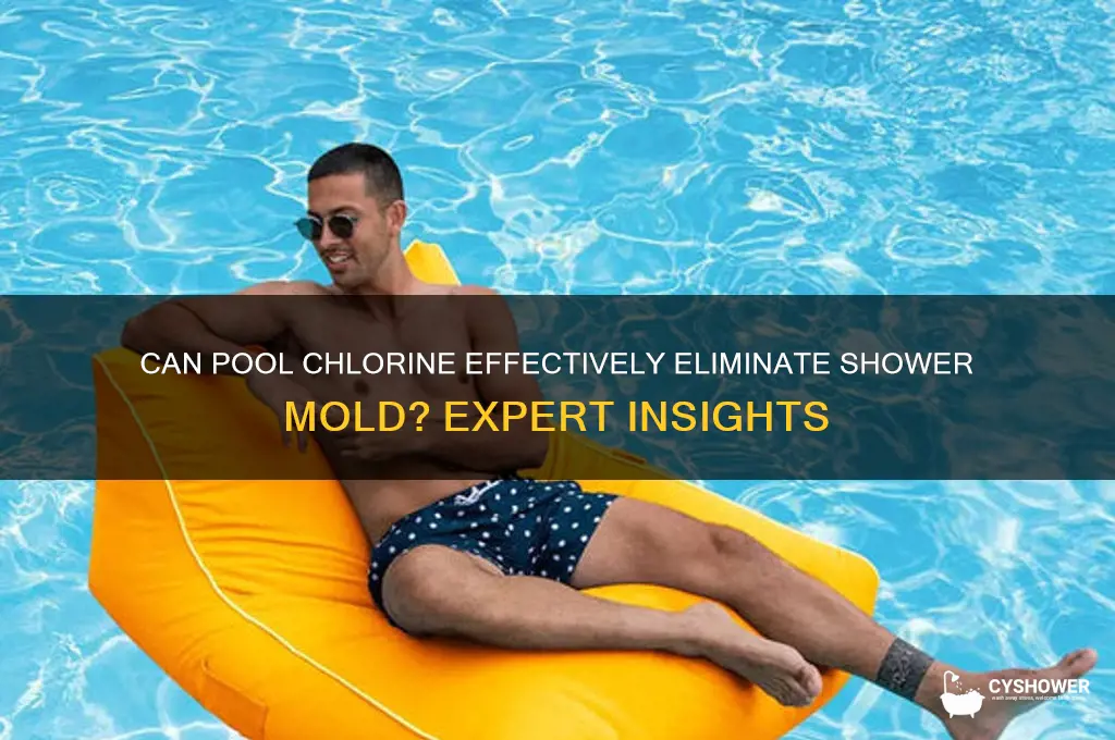 will pool chlorine remove shower mold