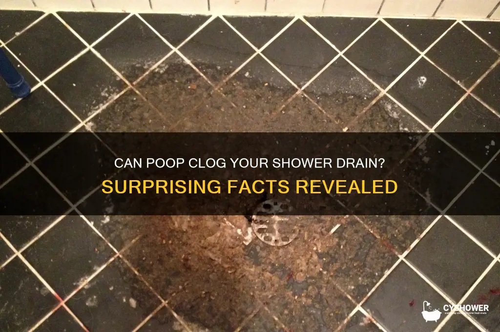will poop clog a shower drain