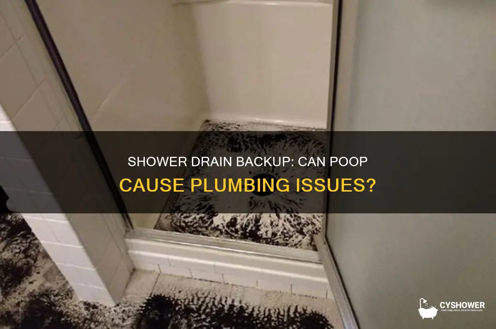 will poop in shower drain backup