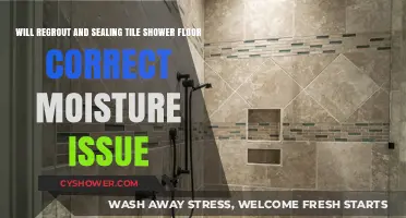 Regrouting and Sealing Tile Shower Floor: Effective Moisture Issue Solution?