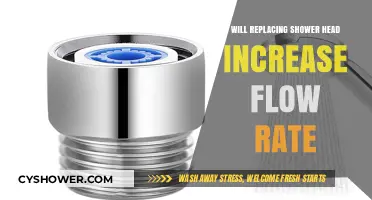 Boosting Shower Flow: Does Replacing the Shower Head Help?