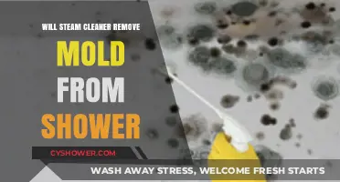 Can Steam Cleaners Effectively Remove Mold from Your Shower?