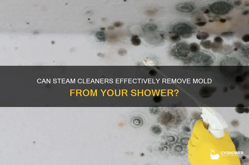 will steam cleaner remove mold from shower