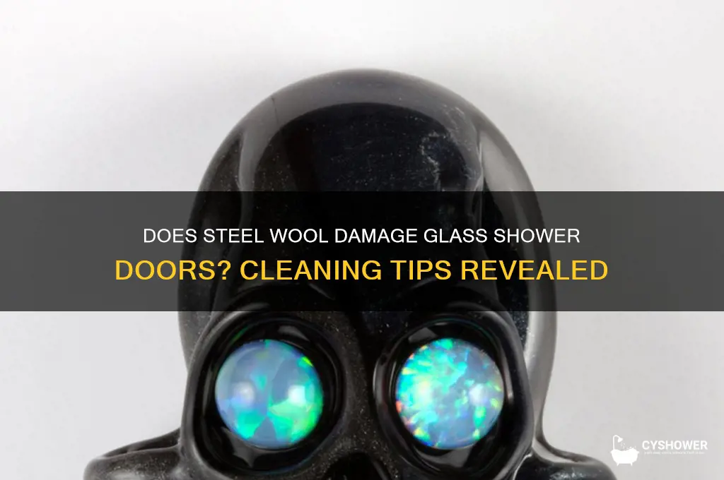 will steel wool scratch glass shower doors