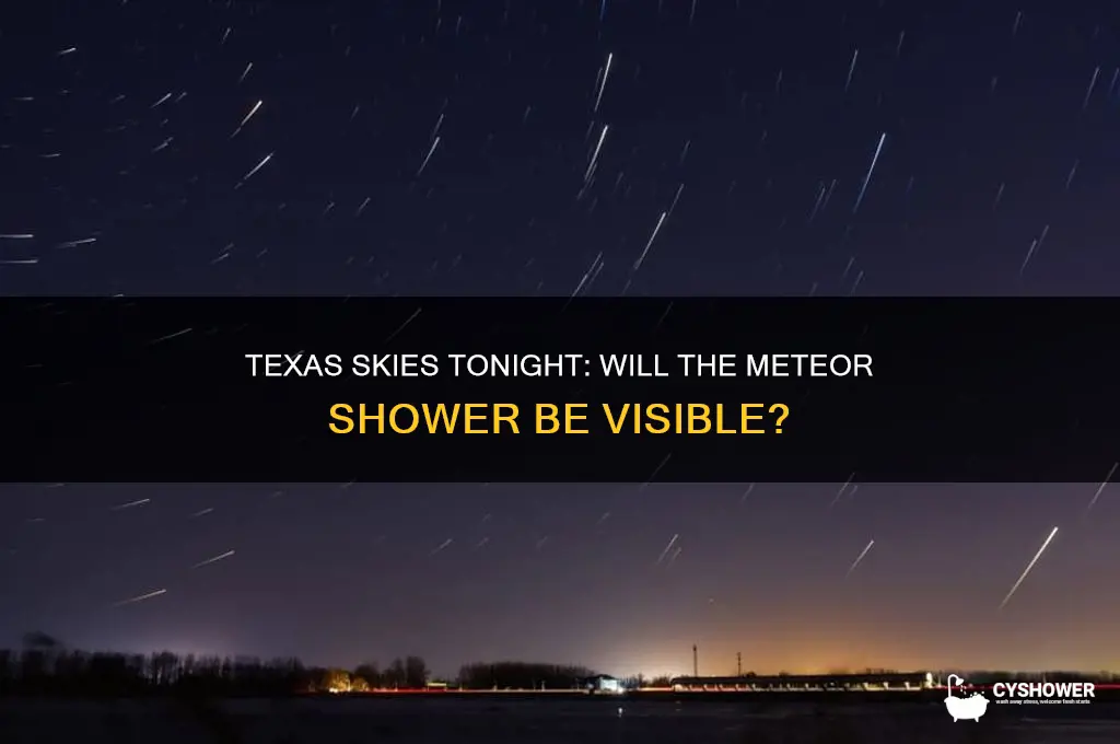 will texas be able to see the meteor shower tonight