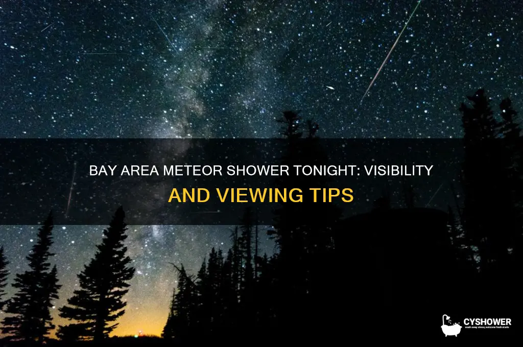 will the bay area see the meteor shower tonight