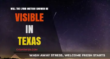 Lyrid Meteor Shower Visibility in Texas: What to Expect