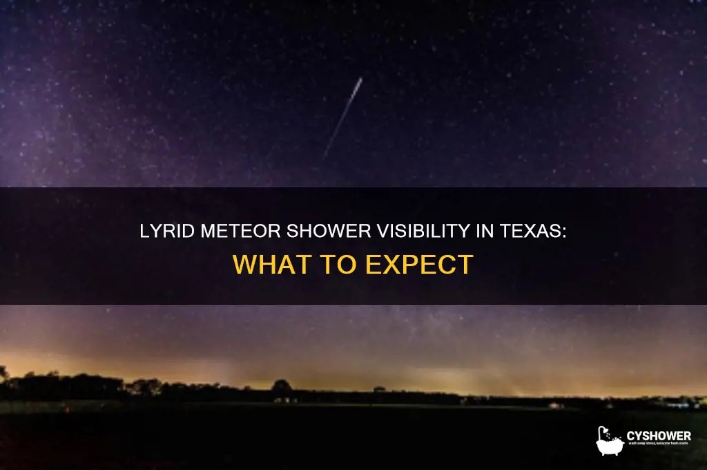 will the lyrid meteor shower be visible in texas