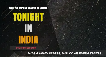 Meteor Shower Visibility in India Tonight: What to Expect