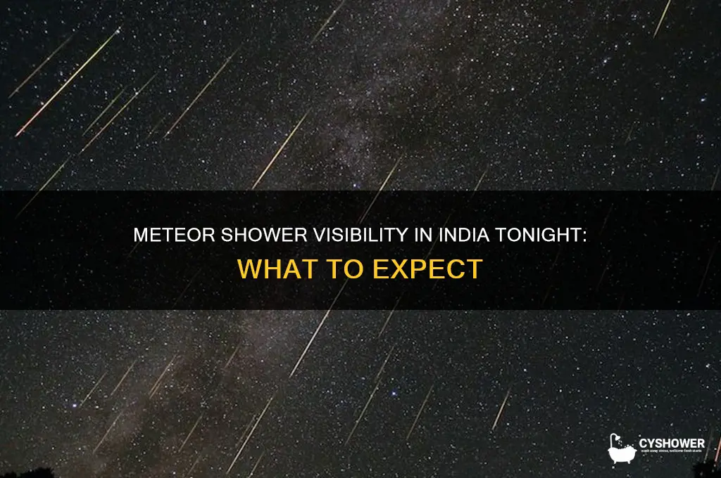 will the meteor shower be visible tonight in india