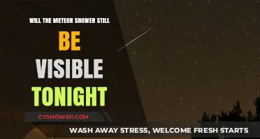 Tonight's Meteor Shower Visibility: Will the Skies Still Light Up?