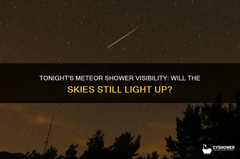 will the meteor shower still be visible tonight