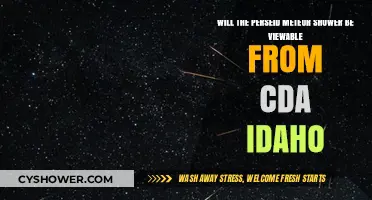 Perseid Meteor Shower Visibility in CDA Idaho: What to Expect