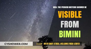 Bimini's Perseid Meteor Shower Visibility: What to Expect This Year
