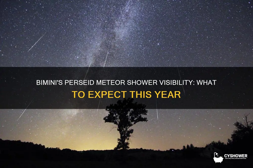 will the perseid meteor shower be visible from bimini