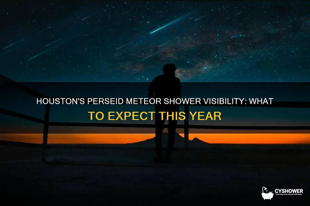 will the perseid meteor shower be visible in houston