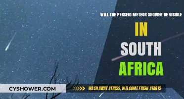 Perseid Meteor Shower Visibility in South Africa: What to Expect