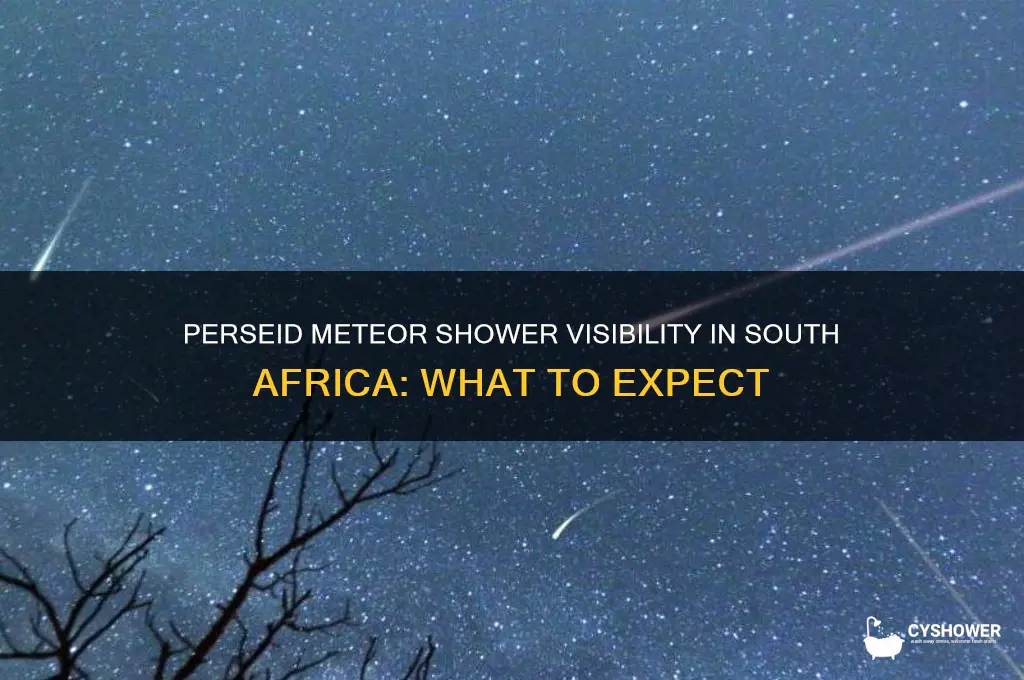 will the perseid meteor shower be visible in south africa
