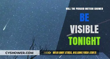 Perseid Meteor Shower Visibility Tonight: What to Expect in the Sky