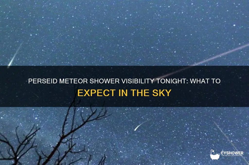 will the perseid meteor shower be visible tonight