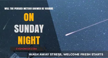 Will the Perseid Meteor Shower Light Up Sunday Night Skies?