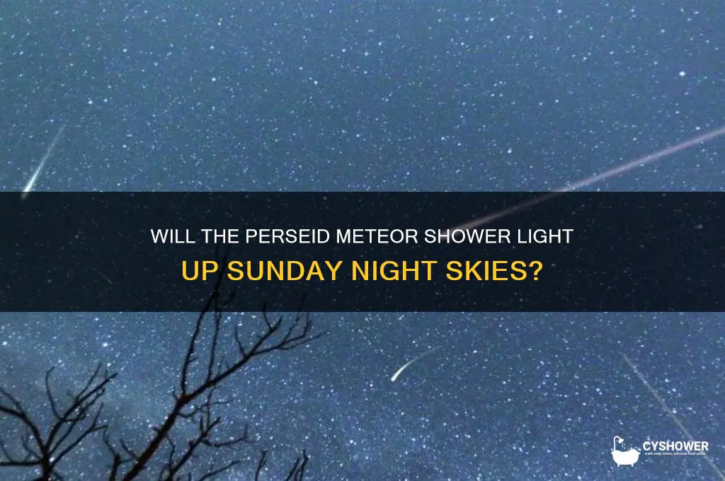 will the persied meteor shower be vusibke on sunday night
