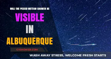 Perseid Meteor Shower Visibility in Albuquerque: What to Expect