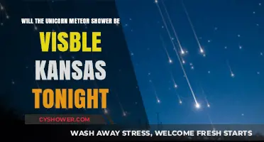 Unicorn Meteor Shower Visibility in Kansas Skies Tonight: What to Expect