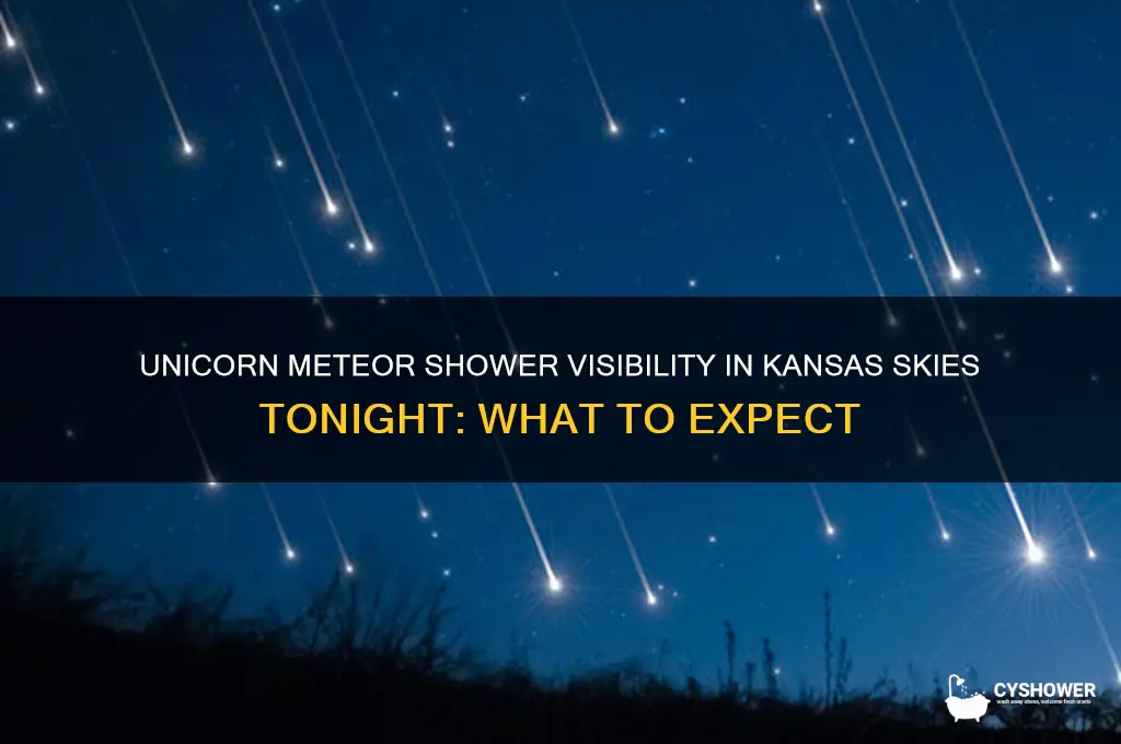 will the unicorn meteor shower be visble kansas tonight