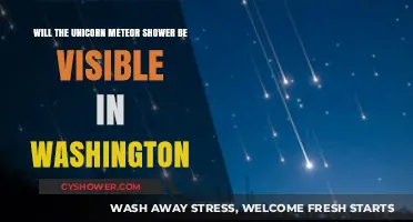 Unicorn Meteor Shower Visibility in Washington: What to Expect