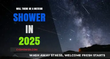 2025 Meteor Shower Forecast: What to Expect in the Night Sky