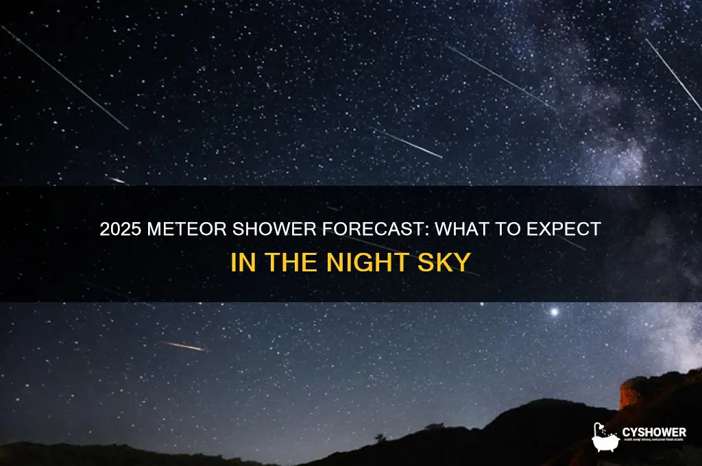 will there be a meteor shower in 2025