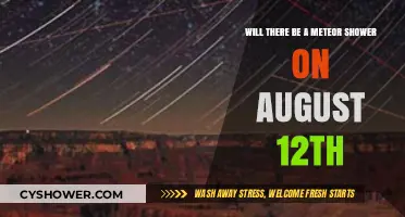 August 12th Meteor Shower: What to Expect in the Night Sky
