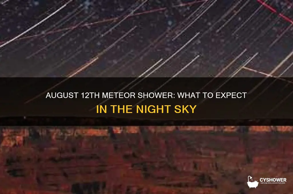 will there be a meteor shower on august 12th