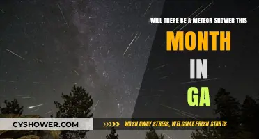 Georgia's Night Sky: Meteor Shower Forecast for This Month