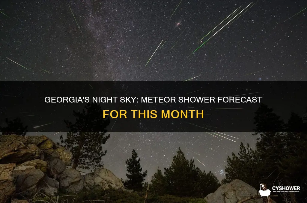 will there be a meteor shower this month in ga