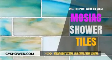 Can Tile Paint Transform Glass Mosaic Shower Tiles Effectively?