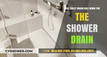 Can a Toilet Drain Hole Function as a Shower Drain Alternative?