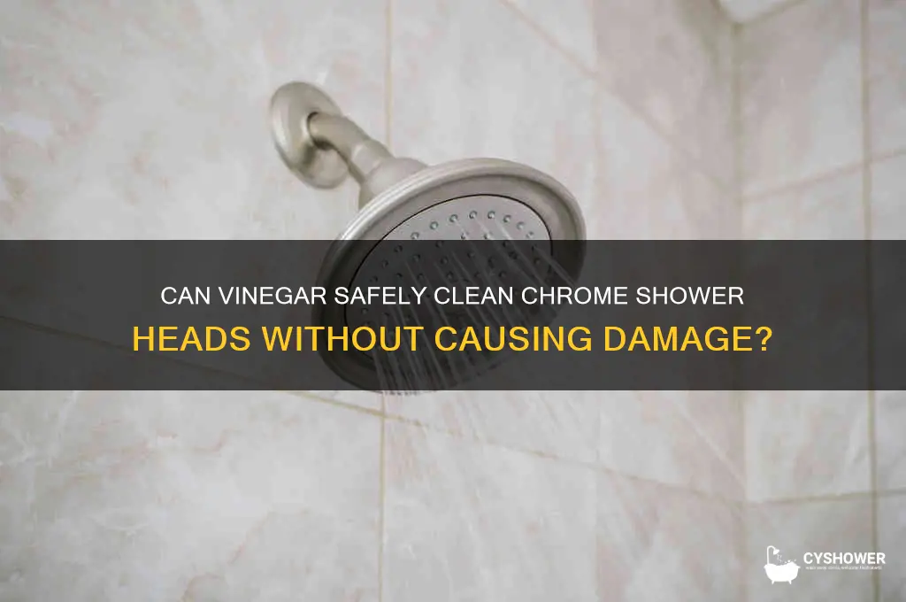 will vinegar damage chrome shower head