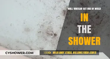Vinegar's Power: Effective Mold Removal in Your Shower?