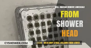 Vinegar's Power: Can It Effectively Remove Limescale from Shower Heads?